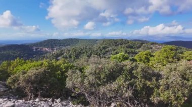 V. Gradac zirvesi Mljet Ulusal Parkı 'nda. Denize bakan dağın tepesindeki bitki örtüsü. 360 video. 