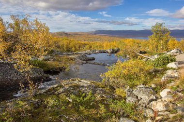 Finlandiya, Kilpisjrvi 'deki Kilpisjravi Gölü manzaralı Tsahkaljoki Nehri' nin yanındaki sonbahar akıntısı