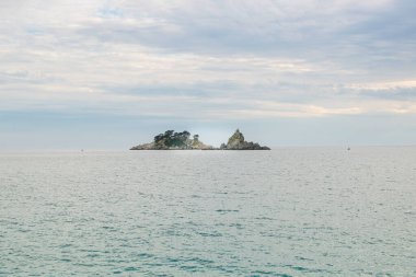 Mavi gökyüzündeki bulutların altında, Adriyatik kıyılarında çam ağaçları ve kır kilisesi olan küçük bir ıssız ada. Deniz kenarındaki doğa.