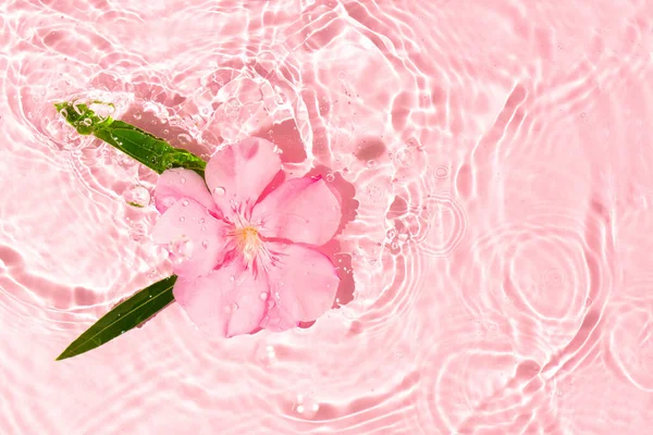 Квітка Листям Плаває Стиглій Прозорій Воді Креативна Літня Квіткова Концепція — стокове фото