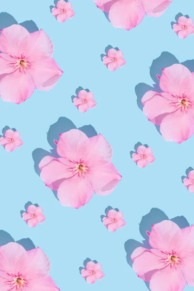 Creative Flat Lay Pattern Beautiful Pink Flowers Bloom Blue Background — Stock Photo, Image
