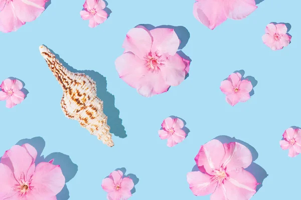 Красиві Рожеві Квіти Черепаха Яскраво Блакитному Тлі Крейдяні Літні Пастельні — стокове фото