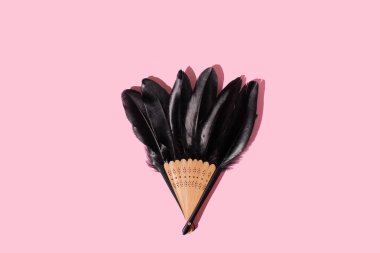 Siyah kuş tüyleri pembe arka planda el yelpazesi. Asgari soyut kavram, kopyalama alanı.