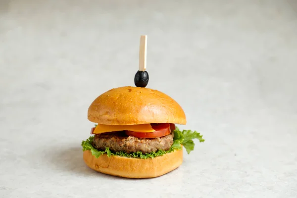 Classic Cajun Beef burger include cheese slice, tomato, onion and lettuce leaf isolated on grey background side view of appetizer fast food