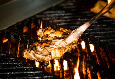 Izgara Tavuk ve Marinade ve Alevler ızgarada canlı canlı ağız sulandıran lezzetli bir yemeğin görüntüsü