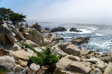 17 Mile Drive Pacific Coast Highway, Kaliforniya ABD. Yüksek kalite fotoğraf