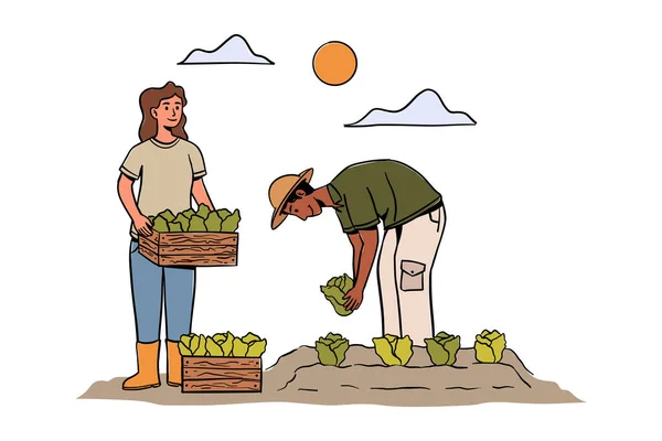 Agricultores Colher Colheitas Trabalhadores Agrícolas Terras Agrícolas Época Colheita Pessoas — Vetor de Stock