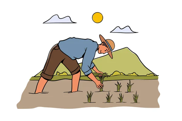 Αγρότης Φυτεύει Ρύζι Ορυζώνες Ασιατικό Χωράφι Ρυζιού Εργάτη Παραδοσιακή Γεωργία — Διανυσματικό Αρχείο