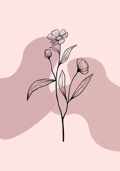 Grafische Blätter Illustrieren Floral Line Art Muster Hintergrund — Stockfoto