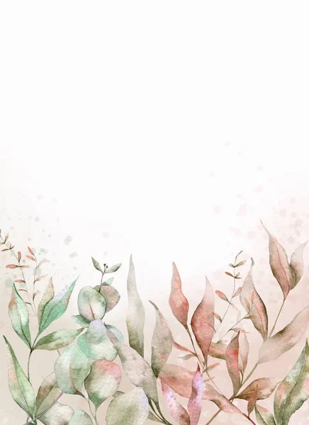 淡淡的叶子 植物设计横幅 植物糊状水彩画边框 — 图库照片
