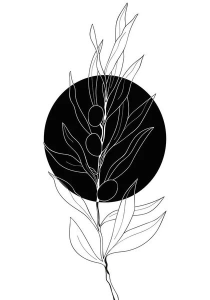 Графічне Листя Ілюстрація Тло Квіткової Лінії Художнього Візерунка — стокове фото