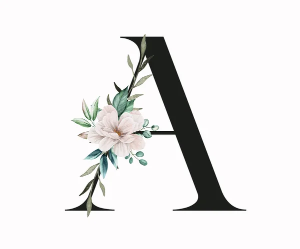 大写字母A 用绿叶和毛绒装饰 英文字中带有花卉装饰的字母 — 图库照片
