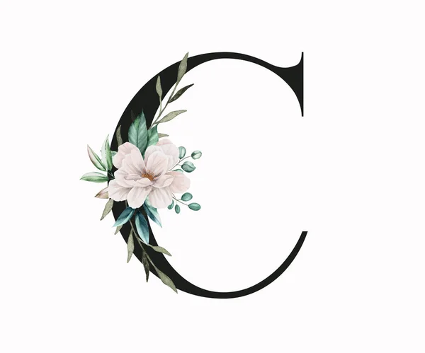 大写字母C装饰着绿叶和恐慌 英文字中带有花卉装饰的字母 — 图库照片