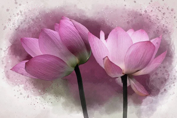Watercolor Painting Vibrant Pink Lotus Flowers Botanical Art Decorative Element — 图库照片