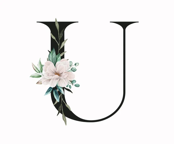 大写字母U装饰着绿叶和恐慌 英文字中带有花卉装饰的字母 — 图库照片