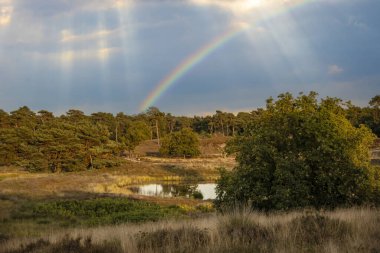 Countryside dutch meadow landscape with grass under scenic sunset sunrise sky. Panorama of dramatic landscape.