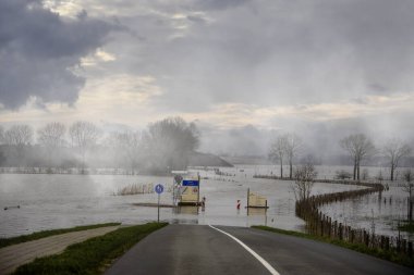 Bergen 'de sel basmış Maas nehrinin manzarası - Noord Limburg, Hollanda