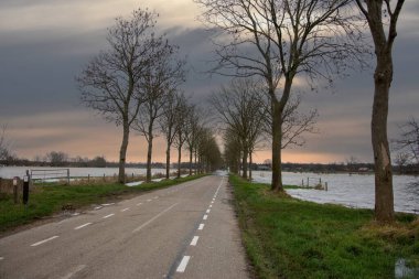 Bergen 'de sel basmış Maas nehrinin manzarası - Noord Limburg, Hollanda