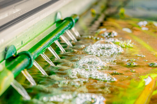 выход аквариумного фильтра тропического пресноводного аквариума с размытым фоном