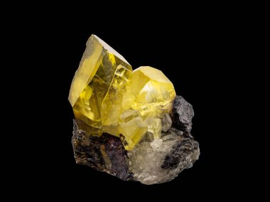 Siyah zemin üzerinde doğal sarı apatit (altın apatit) kristalleri izole