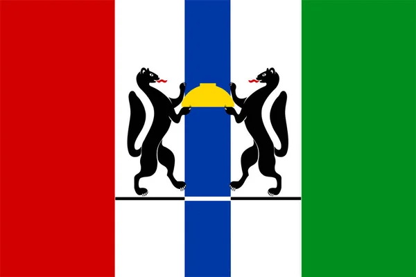 Bandiera Dell Oblast Novosibirsk Federazione Russa Russia — Vettoriale Stock