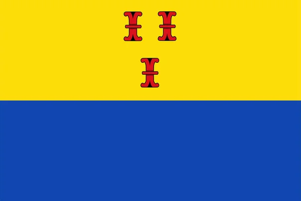 Флаг Муниципалитета Барневельда Провинция Гелдерланд Гелдерс Королевство Нидерланды Голландия — стоковый вектор