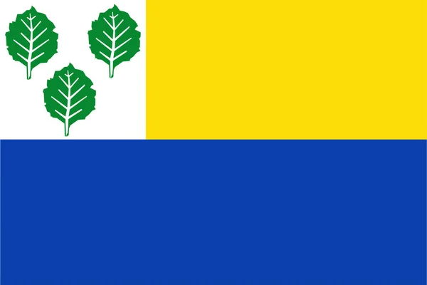 Bandiera Del Comune Oldebroek Gelderland Provincia Guelders Regno Dei Paesi — Vettoriale Stock