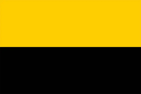 Флаг Муниципалитета Тиль Провинция Гелдерланд Гелдерс Королевство Нидерланды Голландия — стоковый вектор