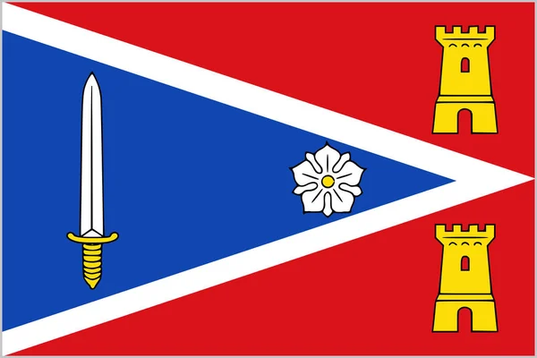 Bandeira Zaltbommel Municipality Gelderland Guelders Province Kingdom Netherlands Holland Bommel — Vetor de Stock