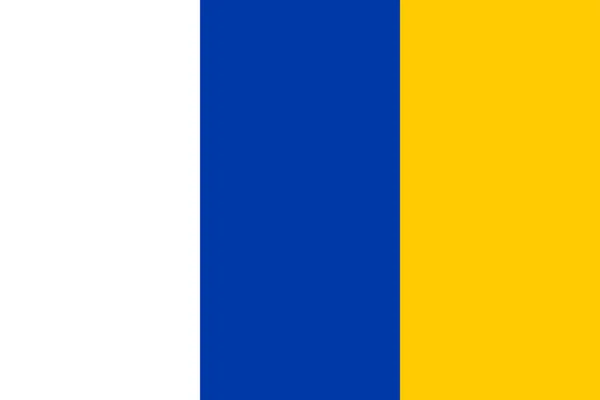 Bandiera Del Comune Doetinchem Gelderland Provincia Guelders Regno Dei Paesi — Vettoriale Stock
