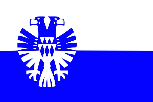 Flagge Der Stadt Und Gemeinde Arnheim Gelderland Oder Guelders Provinz — Stockvektor