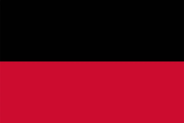 Flaga Miasta Gminy Nijmegen Prowincja Gelderland Lub Guelders Królestwo Niderlandów — Wektor stockowy