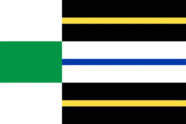Bandeira Cidade Município Stadskanaal Groningen Grinslan Província Grunn Reino Dos — Vetor de Stock