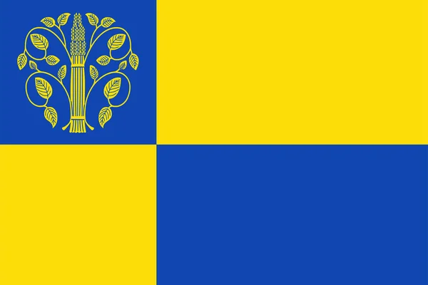 Σημαία Του Δήμου Westerwolde Groningen Grinslan Επαρχία Grunn Βασίλειο Των — Διανυσματικό Αρχείο