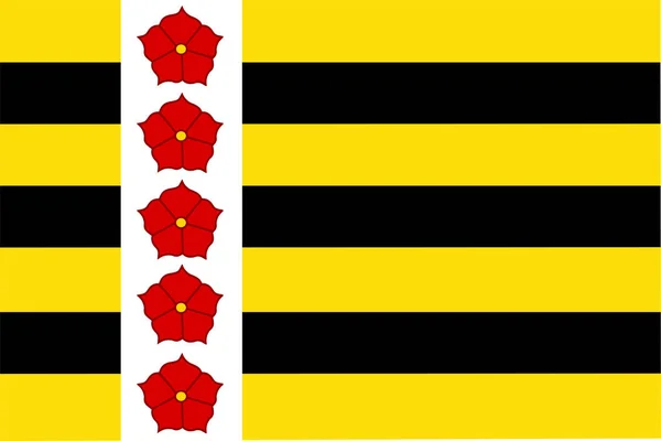 Bandeira Município Horst Aan Maas Província Limburgo Reino Dos Países —  Vetores de Stock