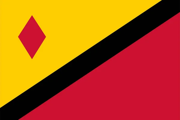 Flag Stein Municipality Limburg Province Kingdom Netherlands Holland — Stock Vector