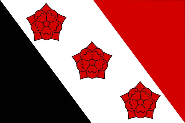 Flagge Der Gemeinde Roosendaal Nordbrabant Oder Noord Brabant Provinz Königreich — Stockvektor