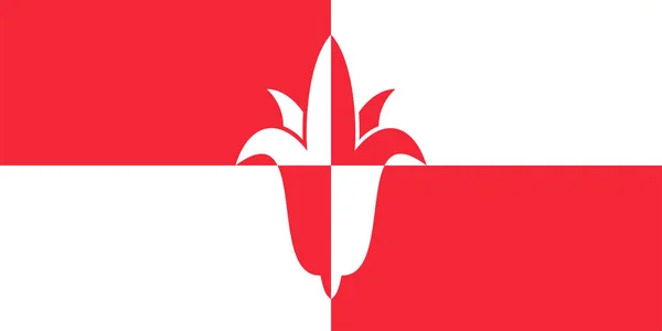 Flagge Der Gemeinde Bernheze Nordbrabant Oder Noord Brabant Provinz Königreich — Stockvektor