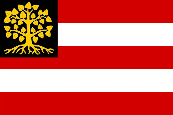 Hertogenbosch市和自治市 北布拉班特省或诺德 布拉班特省 荷兰王国 的旗帜 — 图库矢量图片