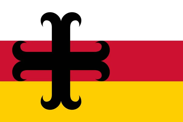 Flagge Der Gemeinde Asten Provinz Nordbrabant Oder Noord Brabant Königreich — Stockvektor