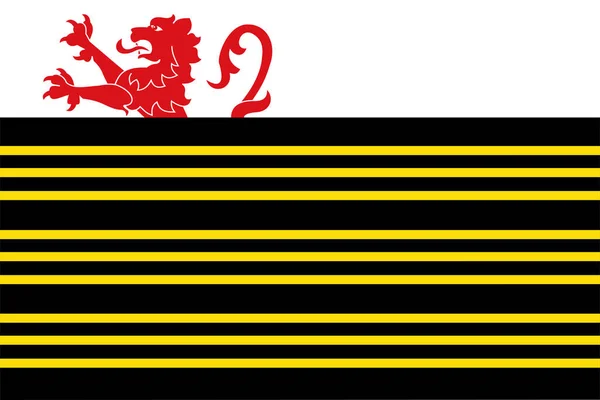 Flagge Der Gemeinde Eersel Provinz Nordbrabant Oder Noord Brabant Königreich — Stockvektor