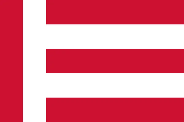 アイントホーフェン市と自治体の旗 北ブラバント オランダ王国 オランダ — ストックベクタ