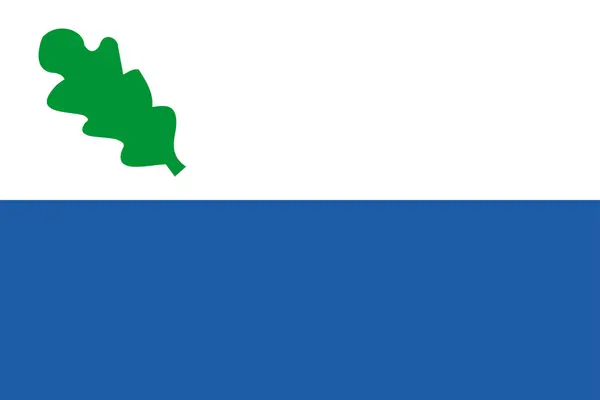 Bandeira Município Oirschot Brabante Norte Província Noord Brabant Reino Dos — Vetor de Stock