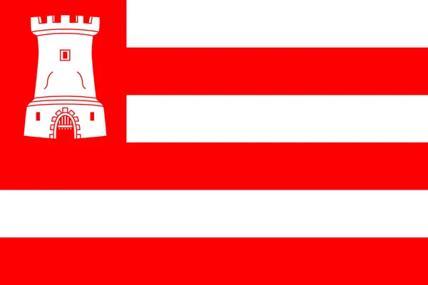 Σημαία Της Πόλης Alkmaar Και Του Δήμου Βόρεια Ολλανδία Επαρχία — Διανυσματικό Αρχείο