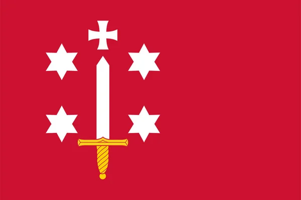 Flagge Der Stadt Und Gemeinde Haarlem Nordholland Provinz Königreich Der — Stockvektor