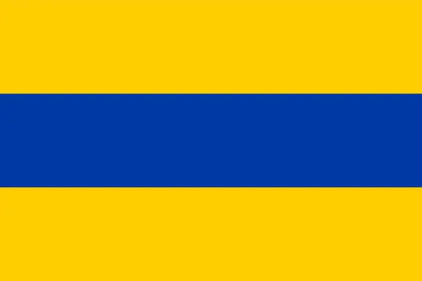 Lisse Kommuns Flagg Sydhollands Eller Zuid Hollands Provins Konungariket Nederländerna — Stock vektor