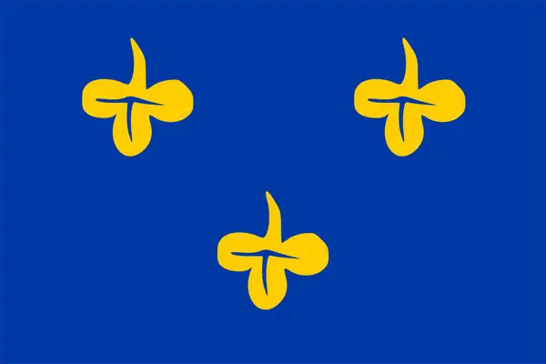 Vlajka Obce Zoeterwoude Provincie Jižní Holandsko Nebo Zuid Holandsko Nizozemské — Stockový vektor
