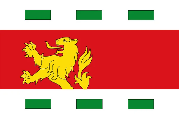 Flagge Der Gemeinde Barendrecht Südholland Oder Zuid Holland Provinz Königreich — Stockvektor