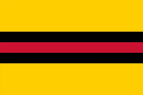Flagga Staden Woudenberg Och Kommunen Provinsen Utrecht Konungariket Nederländerna Holland — Stock vektor