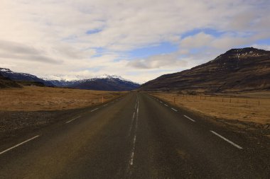 Doğu İzlanda 'da bir fiyort olan Berufjorour' daki yola bakın..